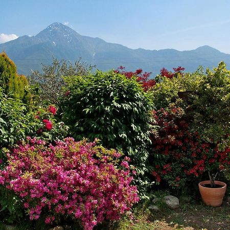 Casa Vacanze Al Boschetto Poncetta Luaran gambar